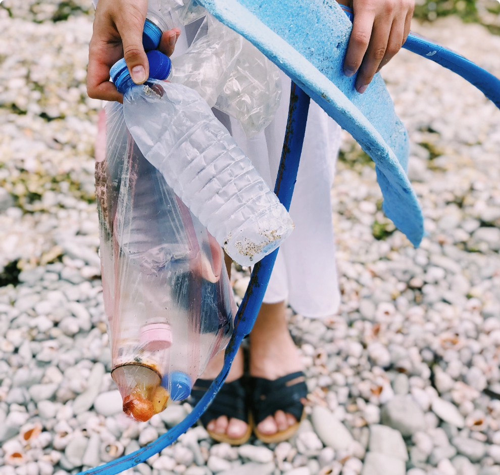 Cras cursus nisi ac porttitor viverra - Expirado